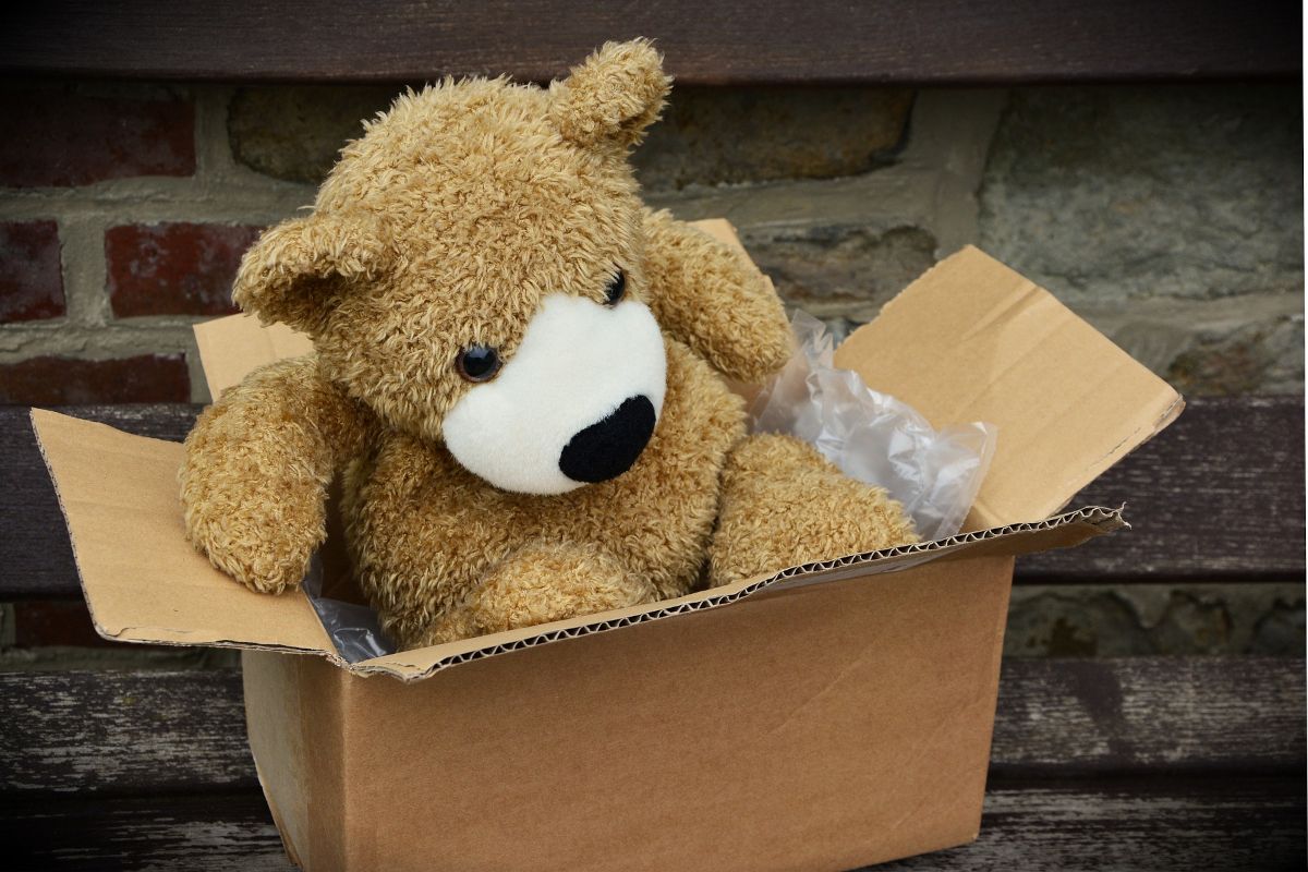 Teddybär in einem Paket